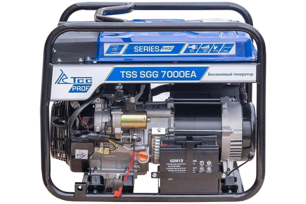 Бензиновый генератор ТСС SGG 7000E3A с в кожухе МК-1.1 портативный Бензиновый генератор ТСС SGG 7000E3A с в кожухе МК-1.1 портативный фото