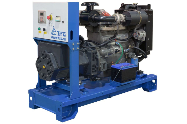 Дизельный генератор ТСС АД-30С-Т400 c АВР 025298 фото