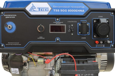 Бензиновый генератор ТСС SGG 8000EHNA в кожухе МК-1.1 фото