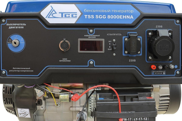 Бензиновый генератор ТСС SGG 8000EHNA в кожухе МК-1.1 для дома фото